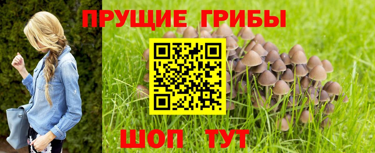Псилоцибиновые грибы ЛСД Мытищи