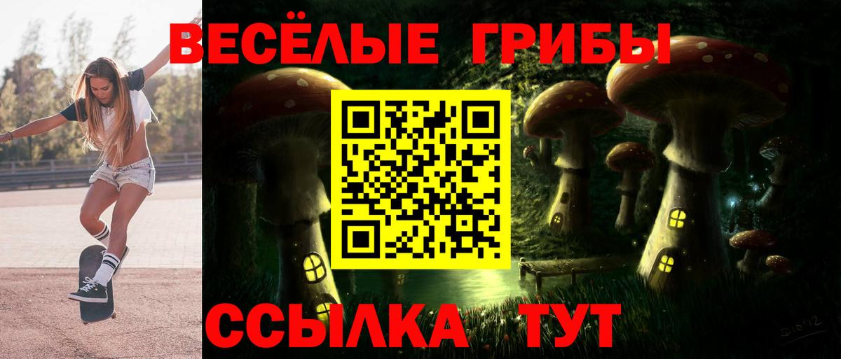 Мытищи  Галлюциногенные грибы GOLDEN TEACHER  Вход с VPN 